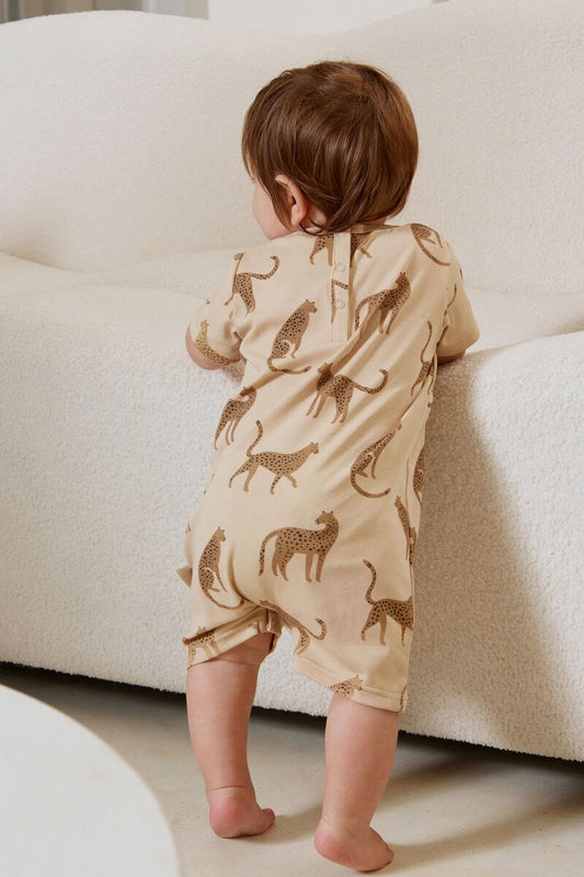 Wild Life Shortall