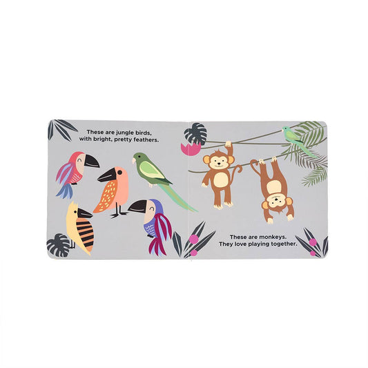 Zoo Friends Animal Board Book