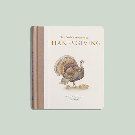 Our Little Adventure at Thanksgiving picture book cover