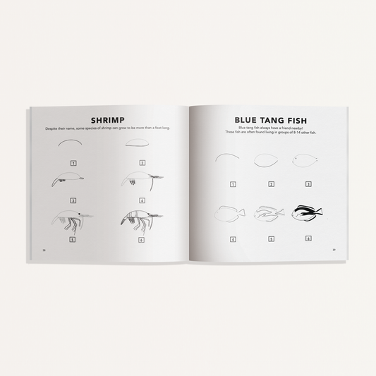 Under the Sea: How to Draw Mini Book for Kids