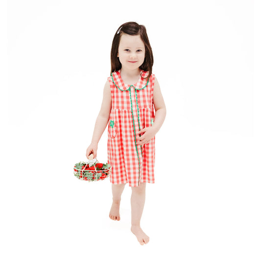 The Jill- Peter Pan Button Front Dress with Ric Rac Trim - Strawberry Gingham