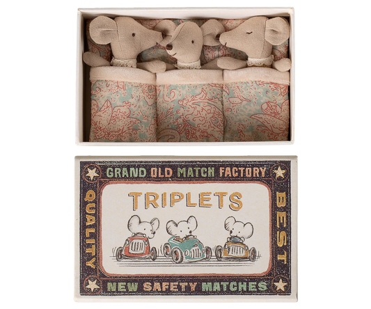 Triplets, Baby mice in matchbox - Checker (Available Early June)
