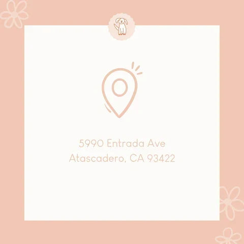 BIG NEWS! SLC Storefront Opening!