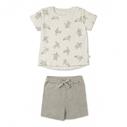 Organic Tee & Shorts Set - Turtles