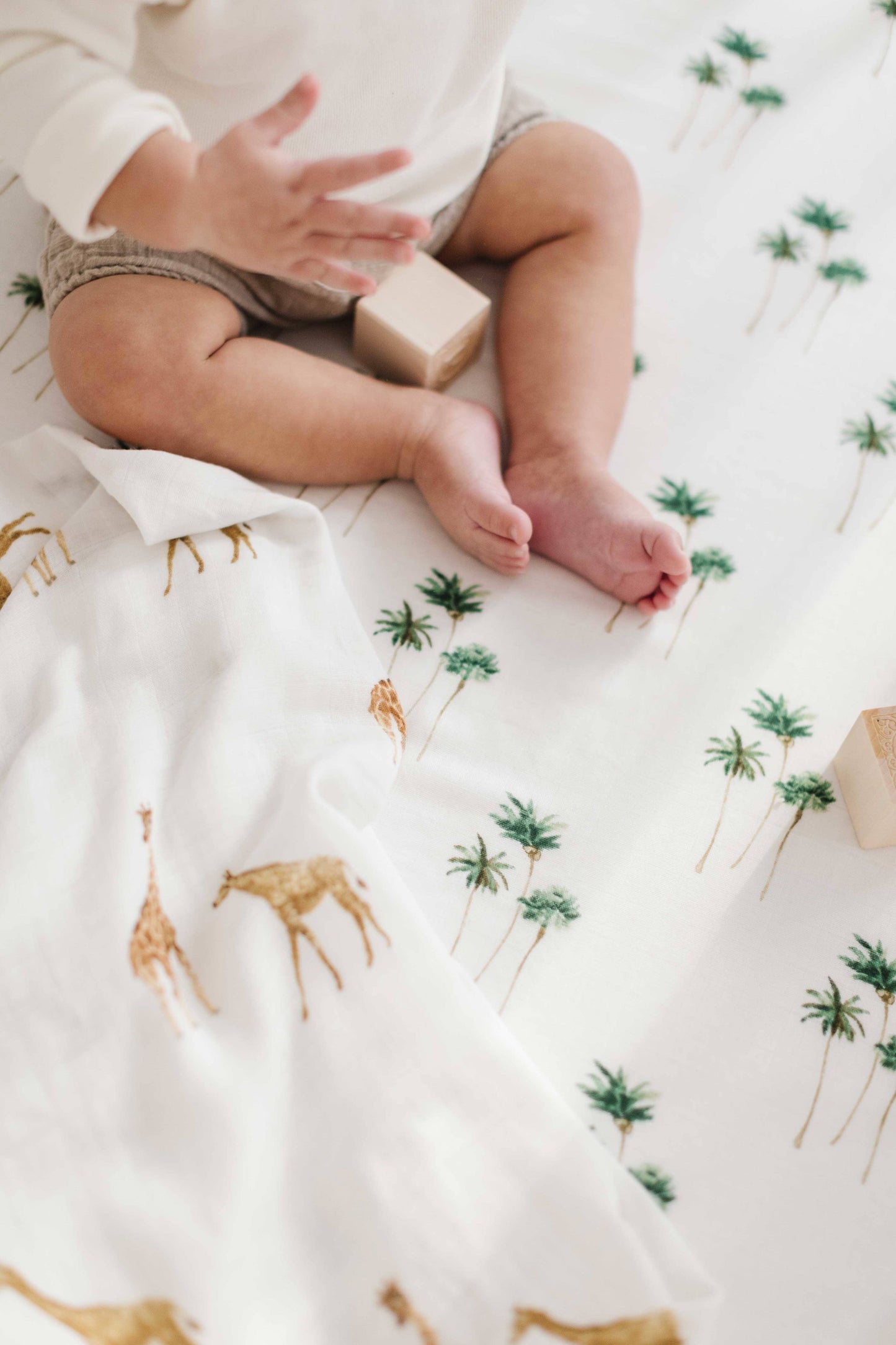 Palm Trees Muslin Single Swaddle