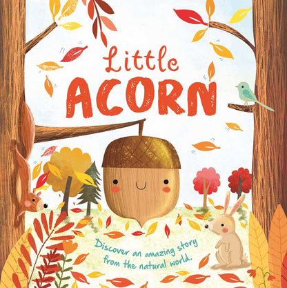 Nature Stories: Little Acorn-Discover an Amazing Story from the Natural World by IglooBooks