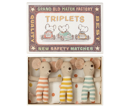 Triplets, Baby mice in matchbox