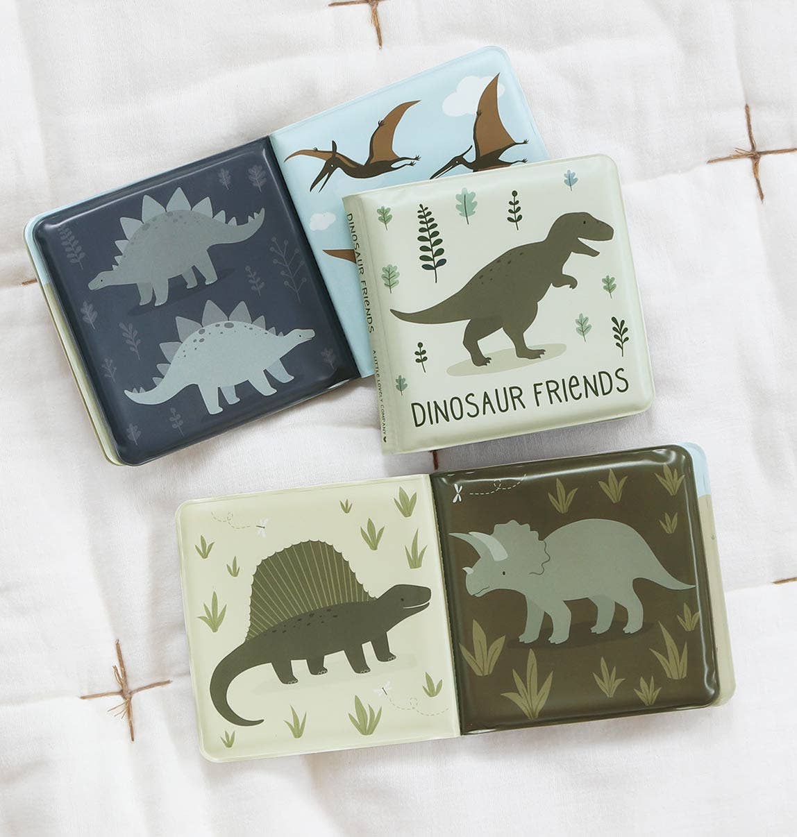 Dinosaur Friends Bath Book