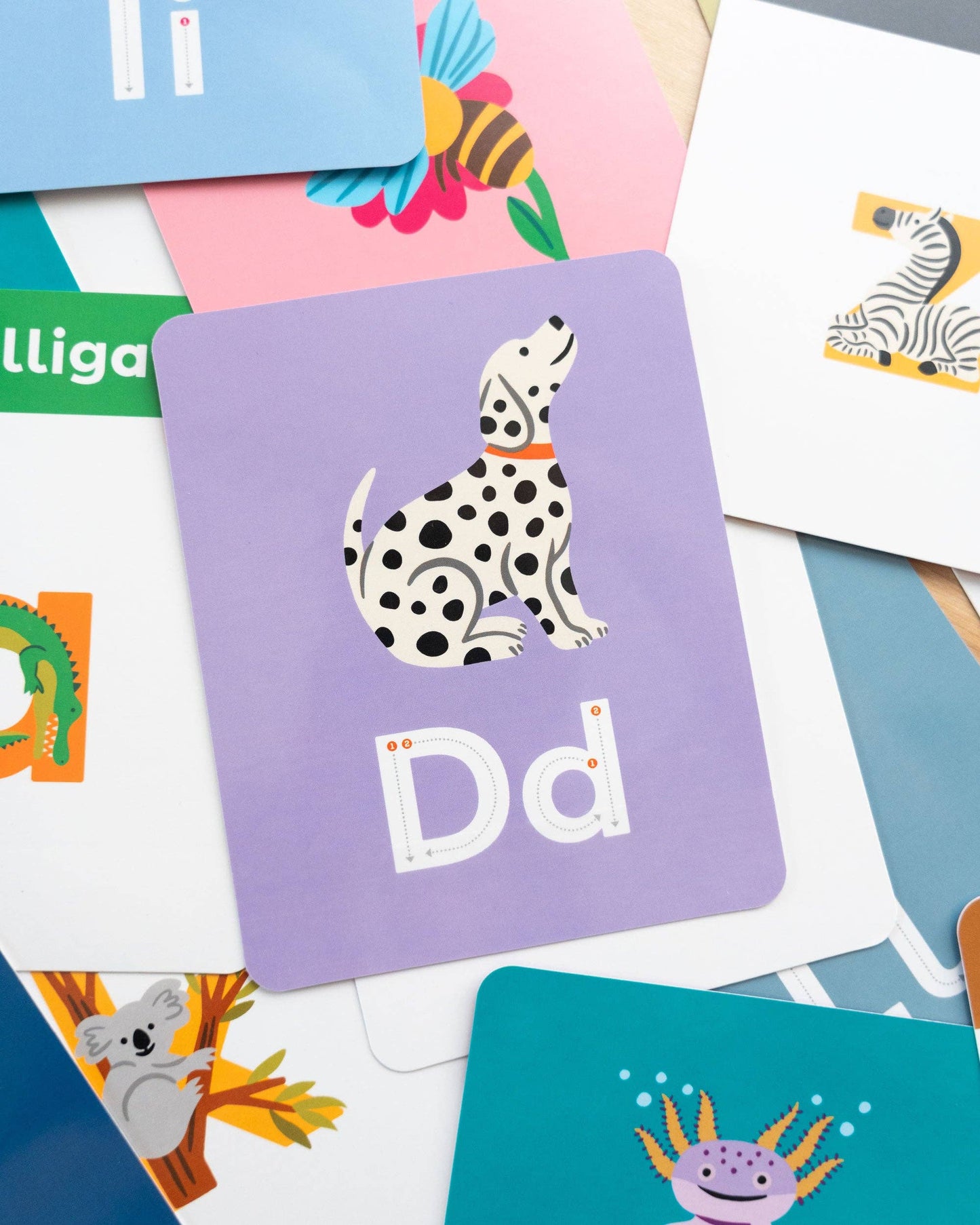 Animals A to Z Alphabet Flashcards