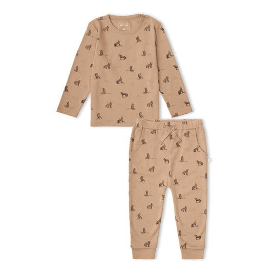 Organic Tee & Pants Set - Woodland Fox
