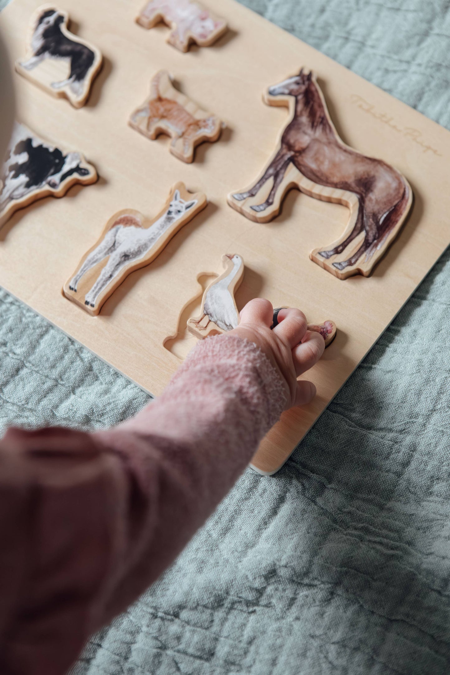 Farm Animals Chunky Wooden Puzzle: A Tabitha Paige Puzzle