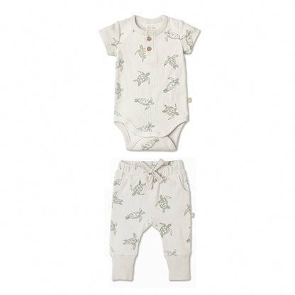 Organic Short Sleeve Romper & Pants Set - Turtles