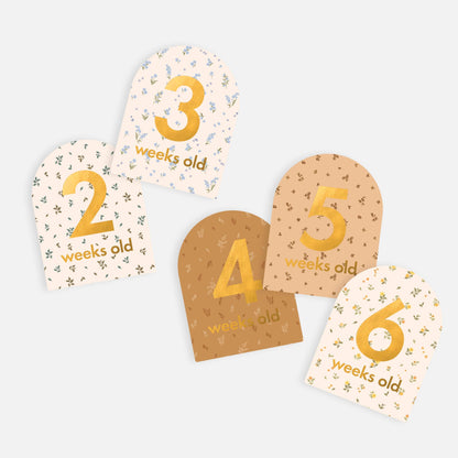 Baby Milestone Cards - Broderie