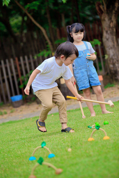 Croquet Set