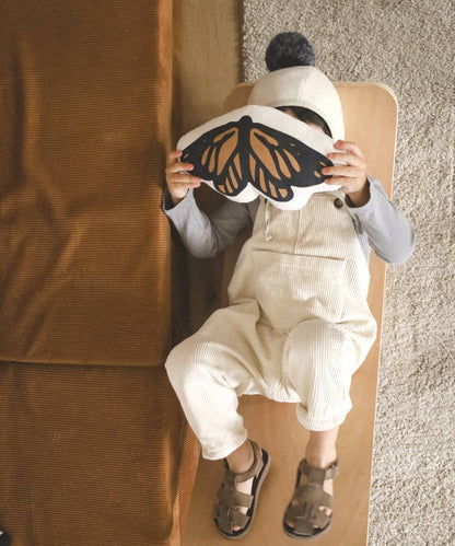 Butterfly Canvas Pillow