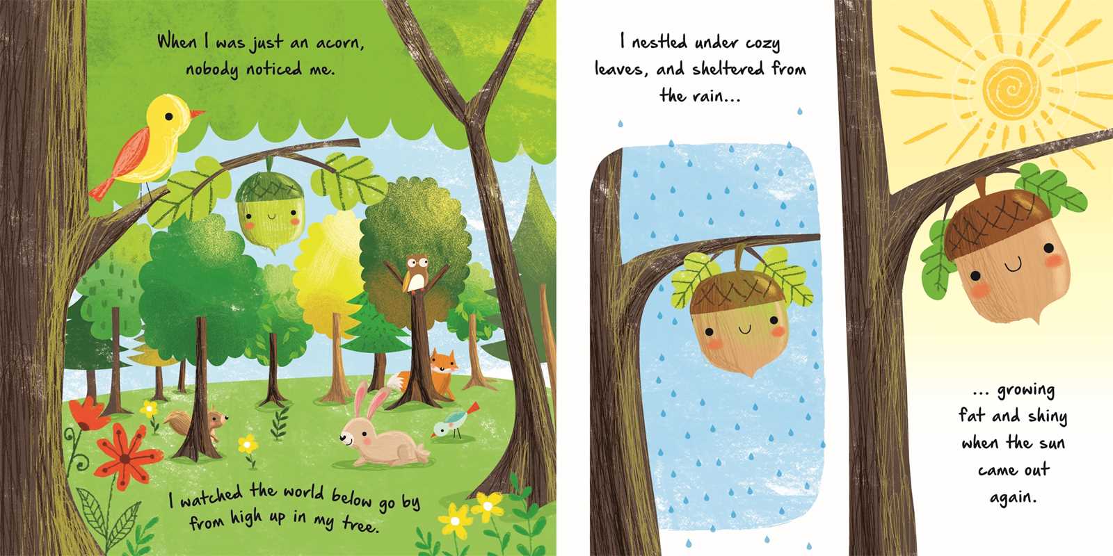 Nature Stories: Little Acorn-Discover an Amazing Story from the Natural World by IglooBooks - view 2