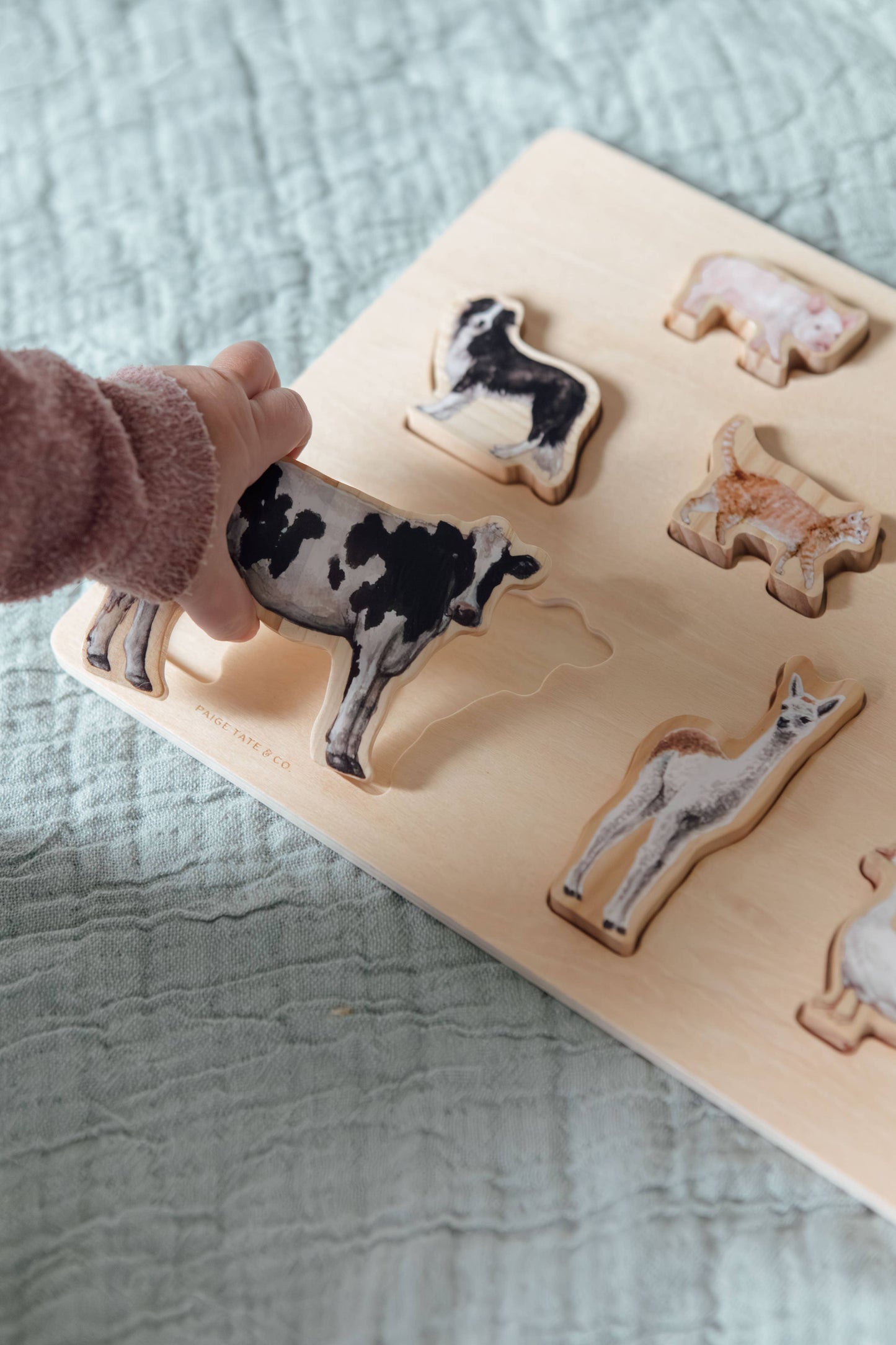 Farm Animals Chunky Wooden Puzzle: A Tabitha Paige Puzzle