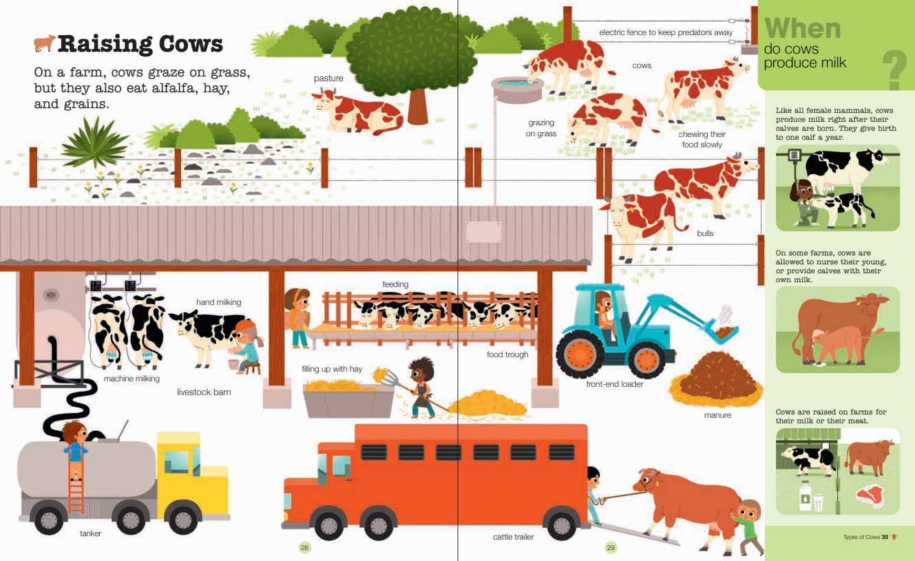 Do You Know?: Farm Animals, Work, and Life