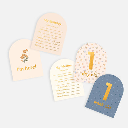 Baby Milestone Cards - Broderie