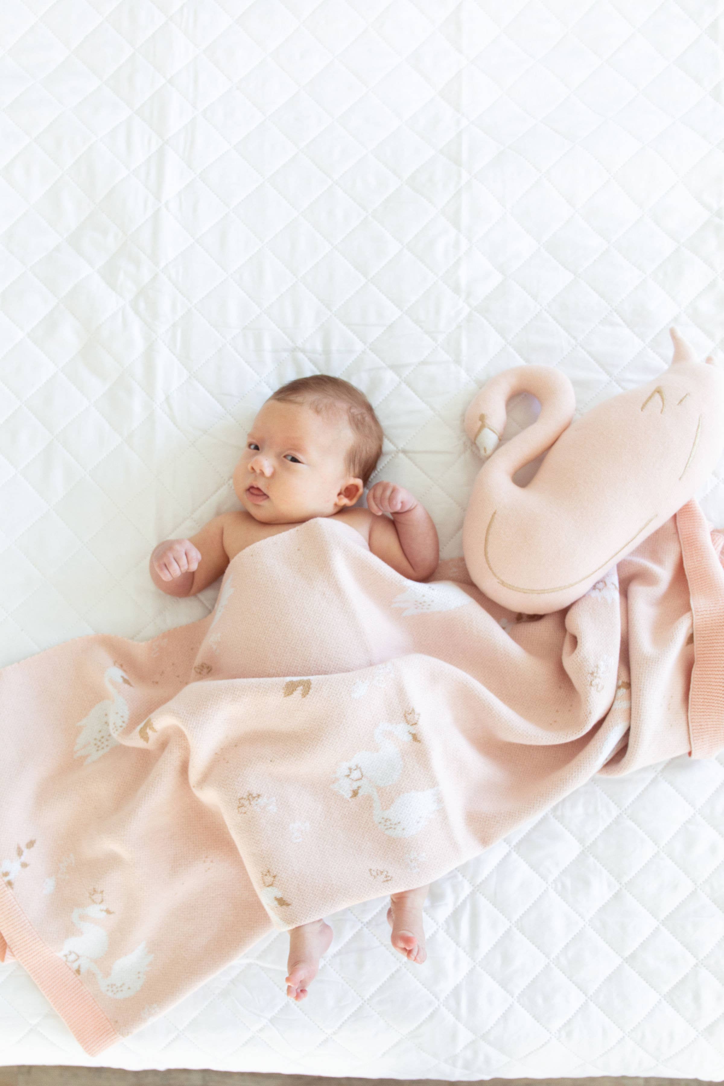 Swan Princess organic cotton factory sateen baby blanket.