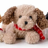 Brown plush puppy on a white background, with curly fur wearing a red striped scarf.