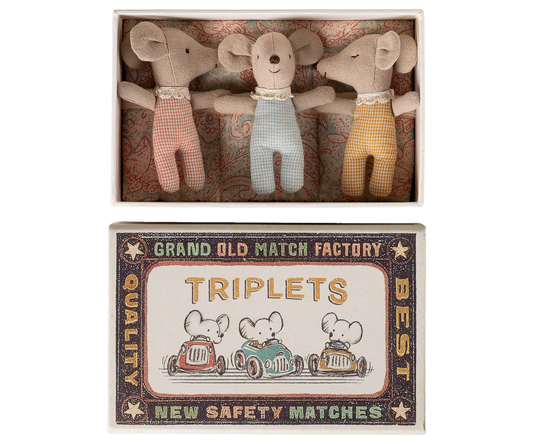 Triplets, Baby mice in matchbox - Checker (Available Early June)