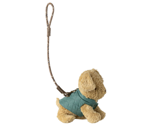 Pet supply, Harness and leash - Dark mint