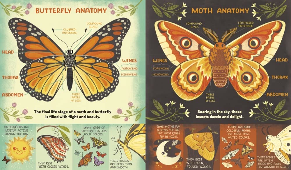 What's Inside a Caterpillar Cocoon? And Other Questions About Moths & Butterflies