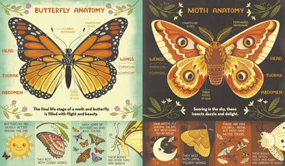 What's Inside a Caterpillar Cocoon? And Other Questions About Moths & Butterflies