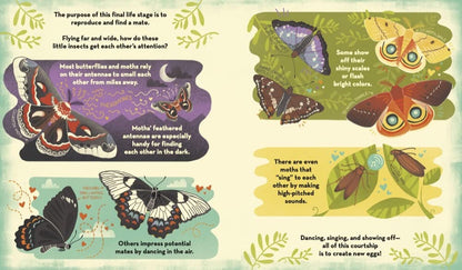 What's Inside a Caterpillar Cocoon? And Other Questions About Moths & Butterflies
