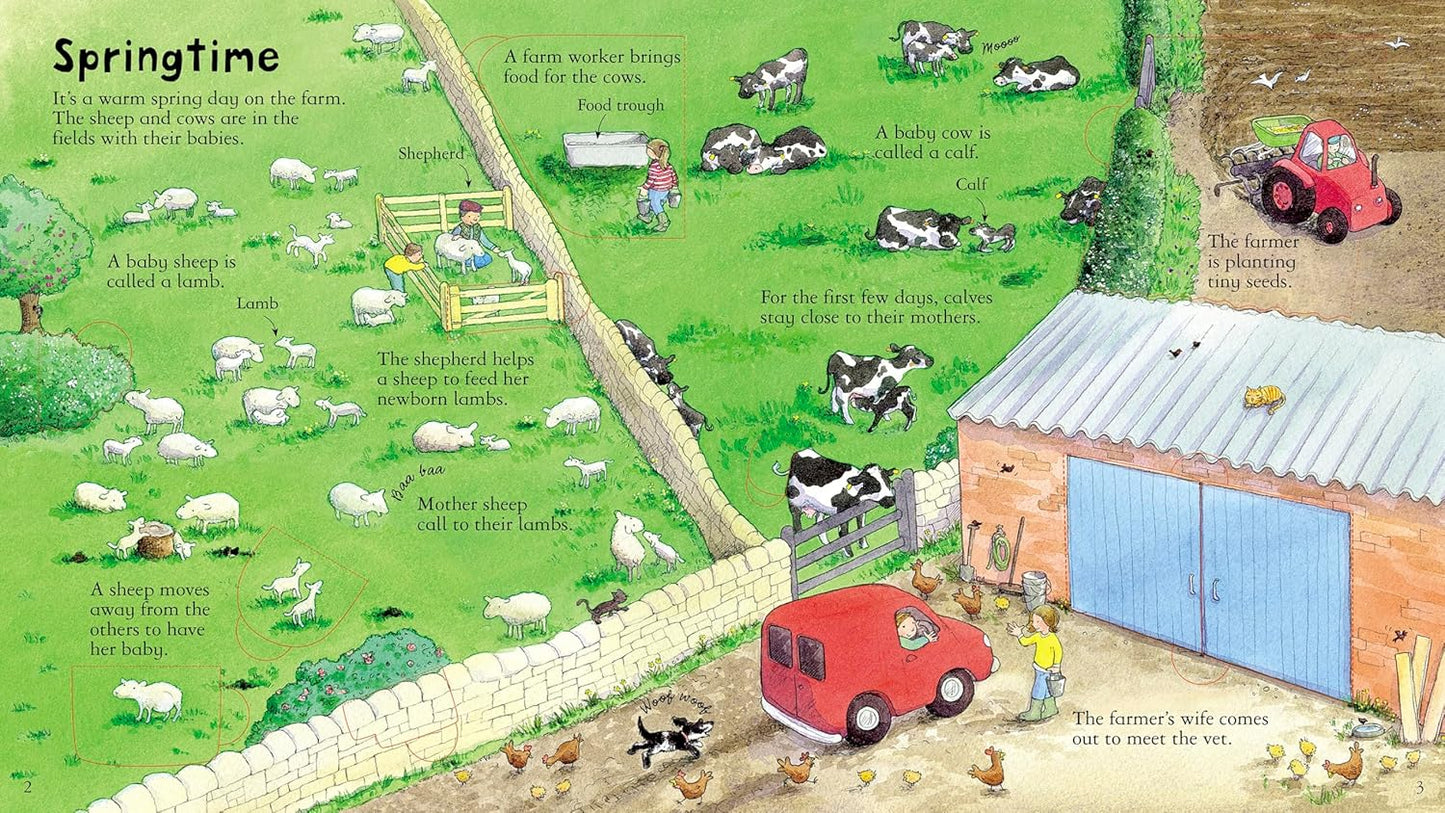 Look Inside a Farm