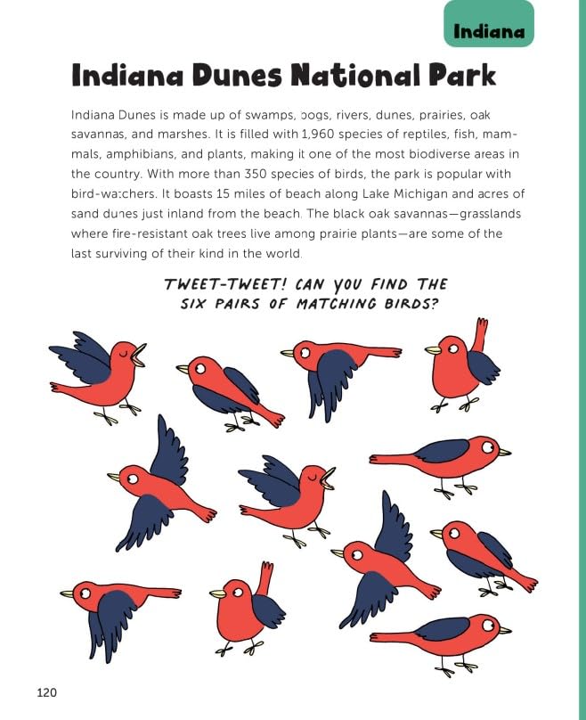 Fun with National Parks A Big Activity Book for Kids about America's Natural Wonders