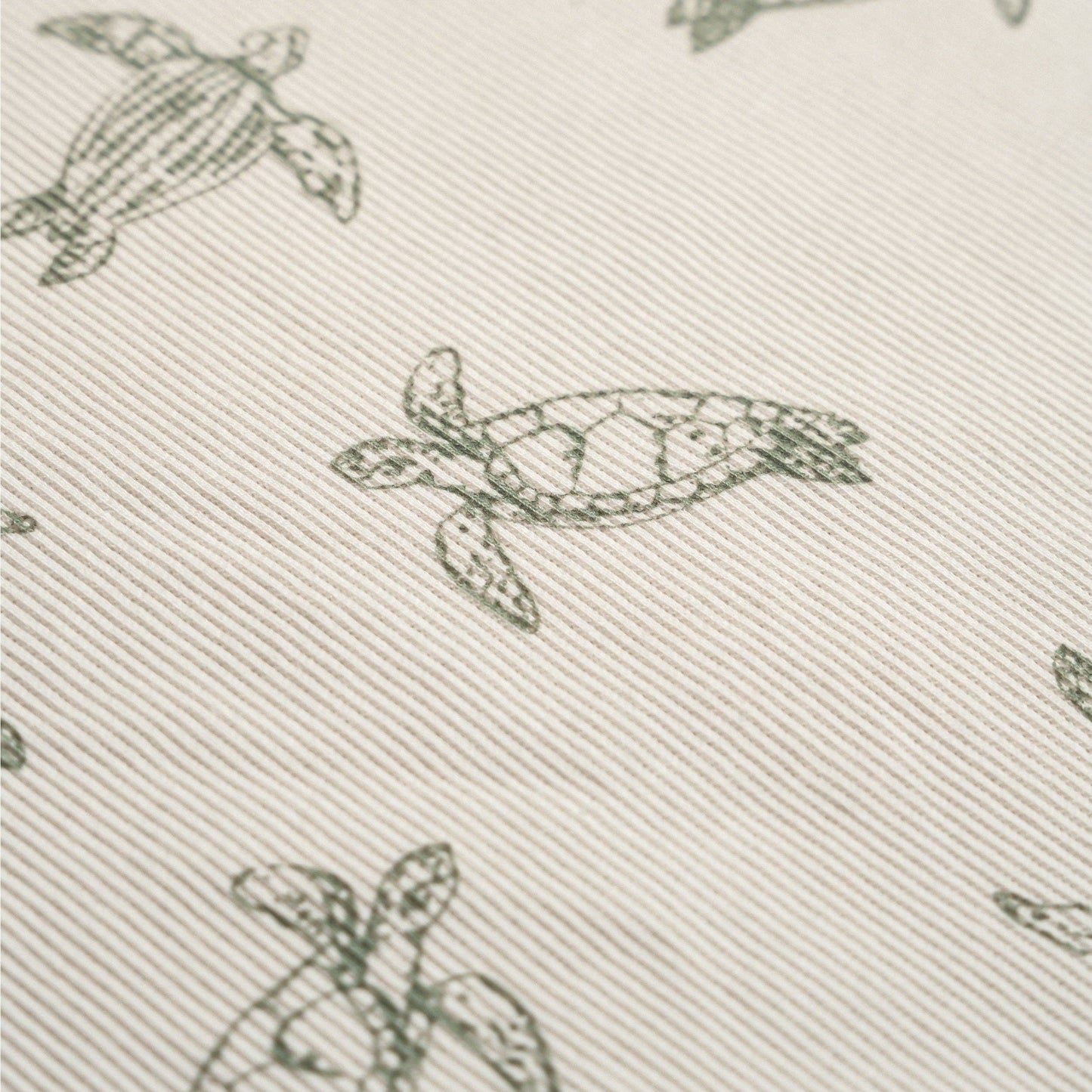 Organic Tee & Shorts Set - Turtles