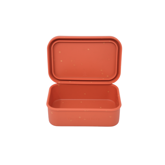 The Mini Silicone Bento Box - Daisy Days