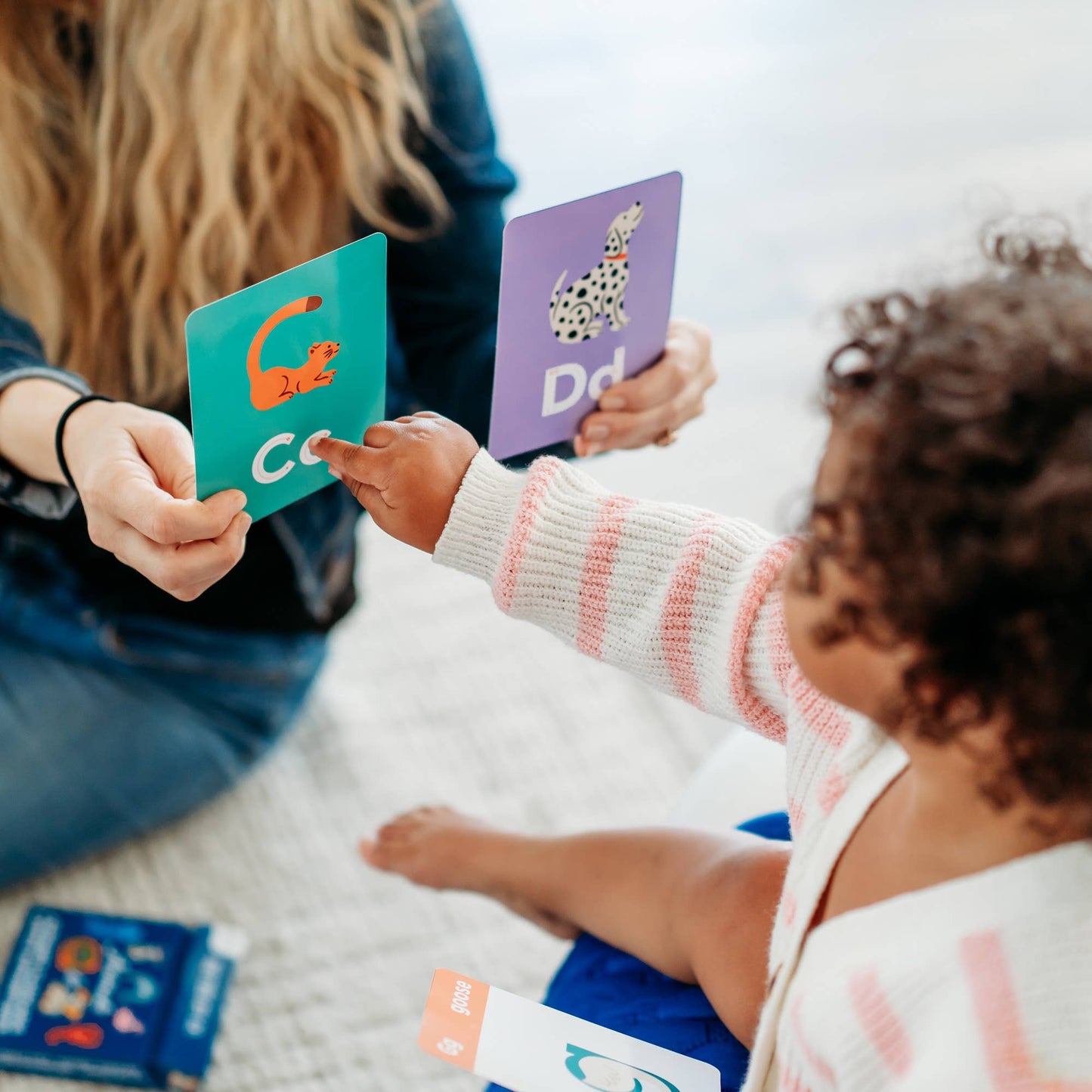 Animals A to Z Alphabet Flashcards