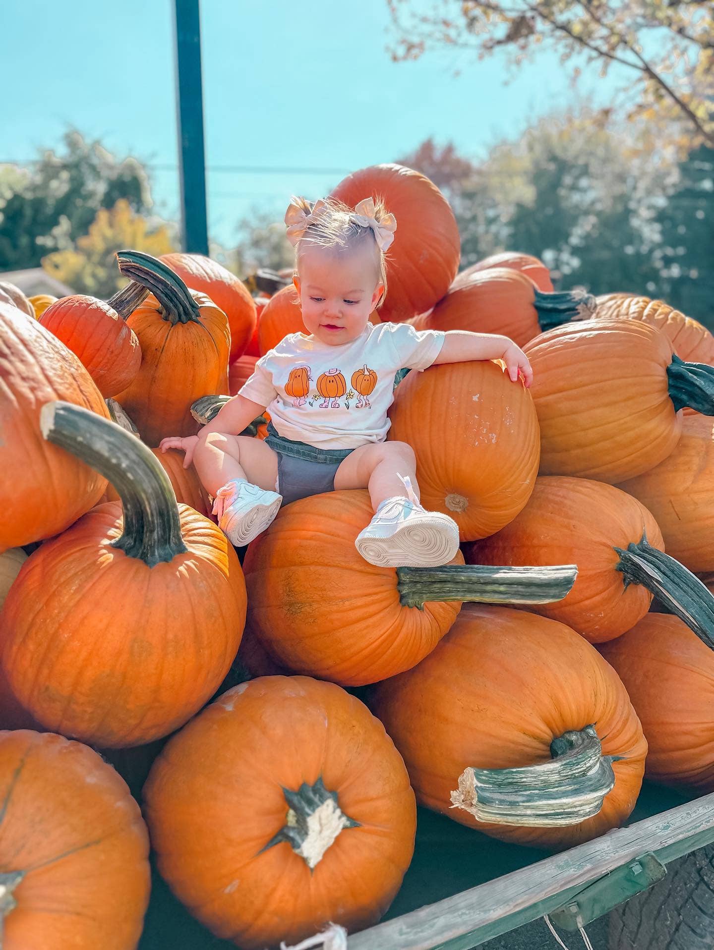 Pumpkin Gals Fall Tee