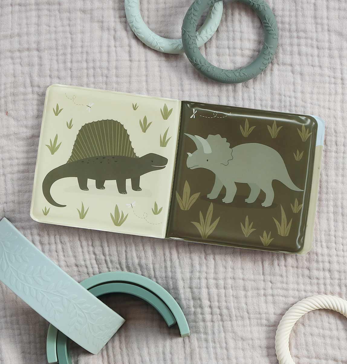 Dinosaur Friends Bath Book