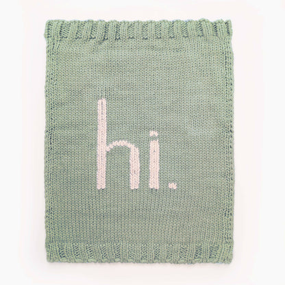 Hi. Hand Knit Blanket Sage Green