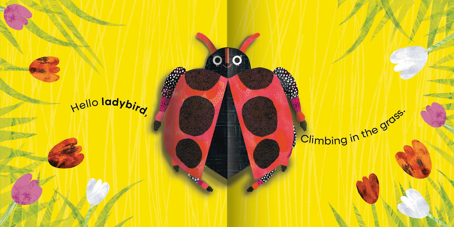 My First Pop-Up: Bugs