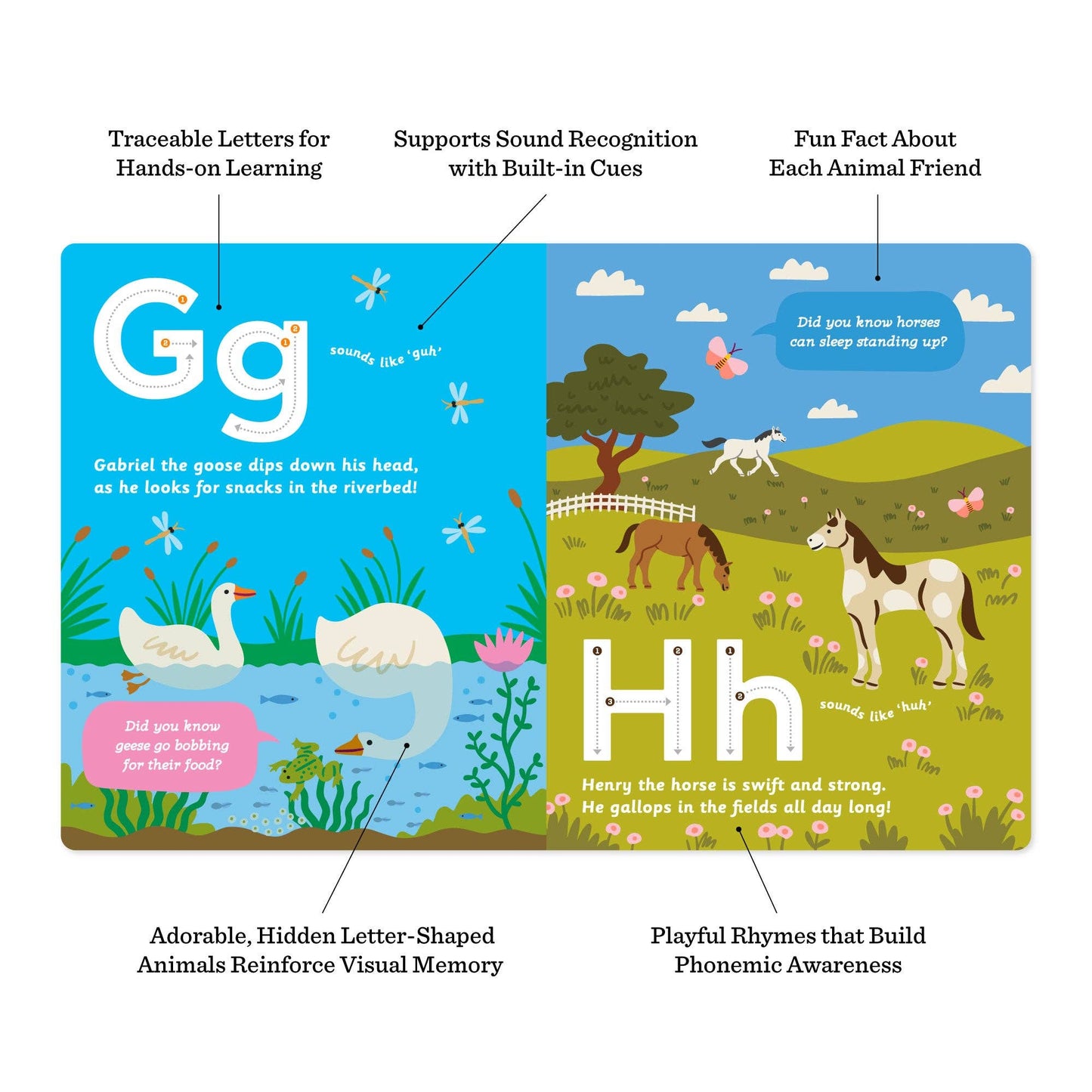 Curious Creatures from A to Z: An Animal Alphabet Adventure