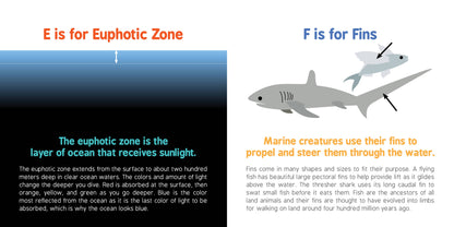 ABCs of Oceanography