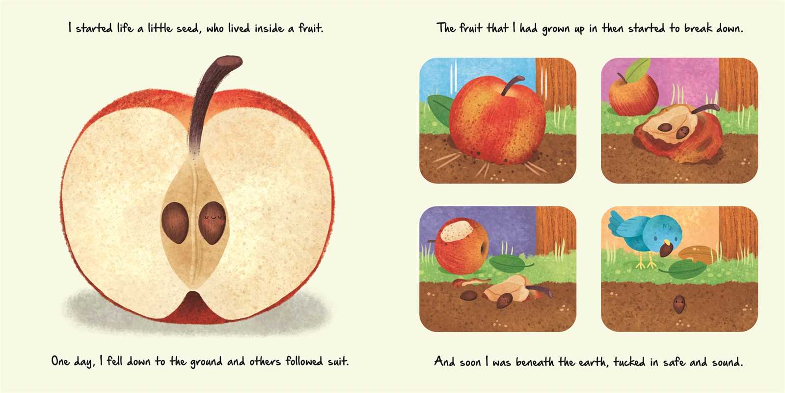 Nature Stories: Little Apple Tree by IglooBooks - view 2