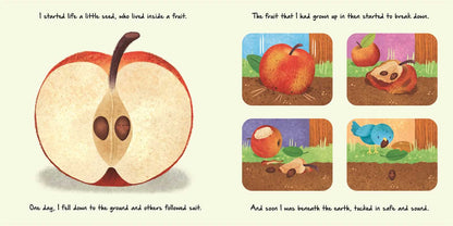 Nature Stories: Little Apple Tree by IglooBooks - view 2