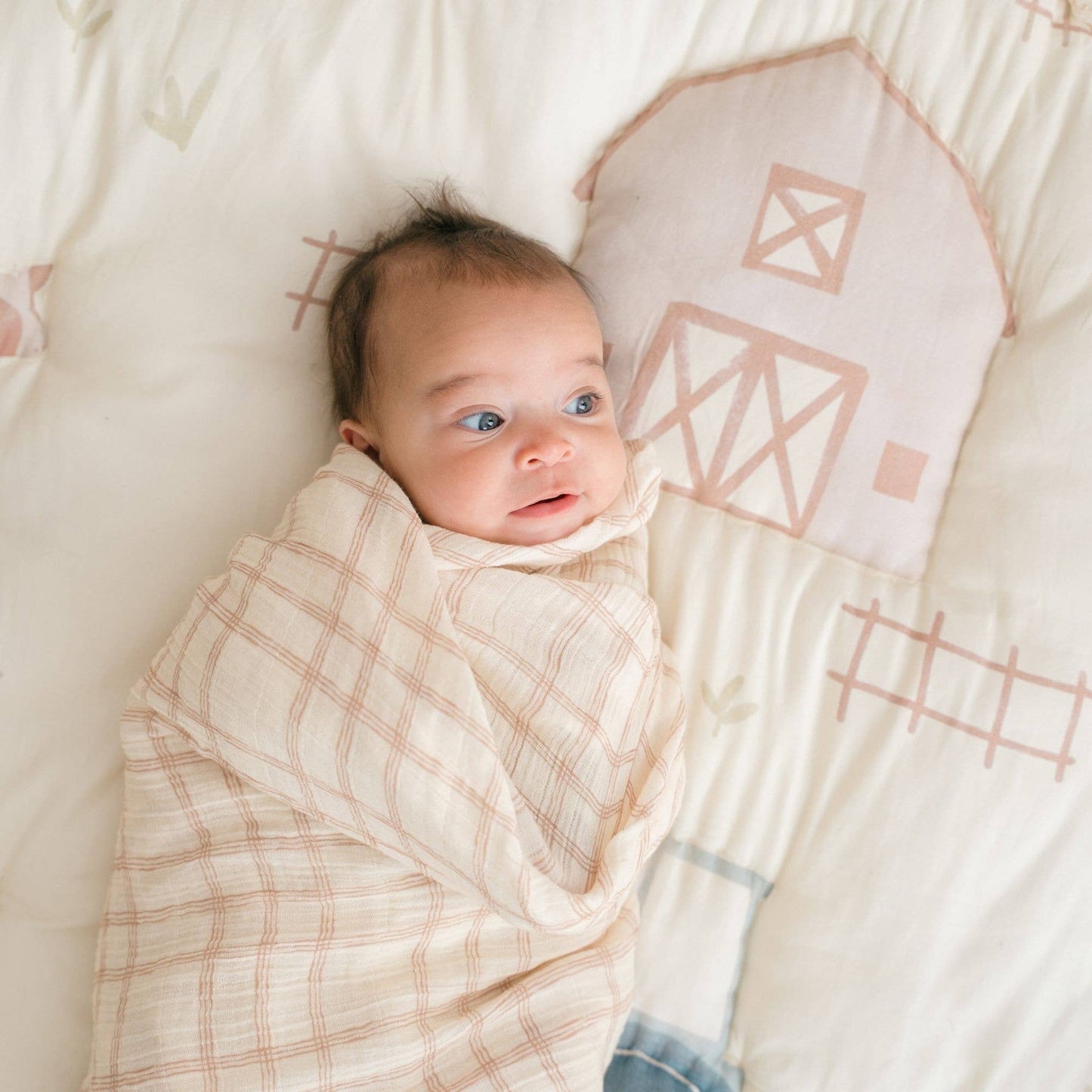 Charlie 2-pc. Farmhouse Goose/Check Swaddle Set