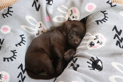 Baby Bunny Blanket