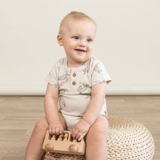 Organic Short Sleeve Romper & Pants Set - Turtles