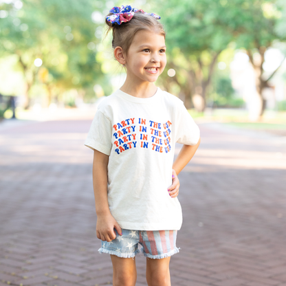 Party in the USA 4th of July Shirt