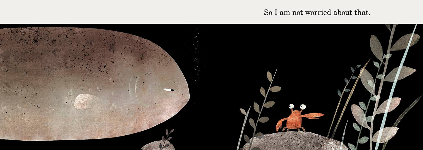 This Is Not My Hat by Jon Klassen - The Hat Trilogy