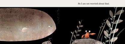 This Is Not My Hat by Jon Klassen - The Hat Trilogy