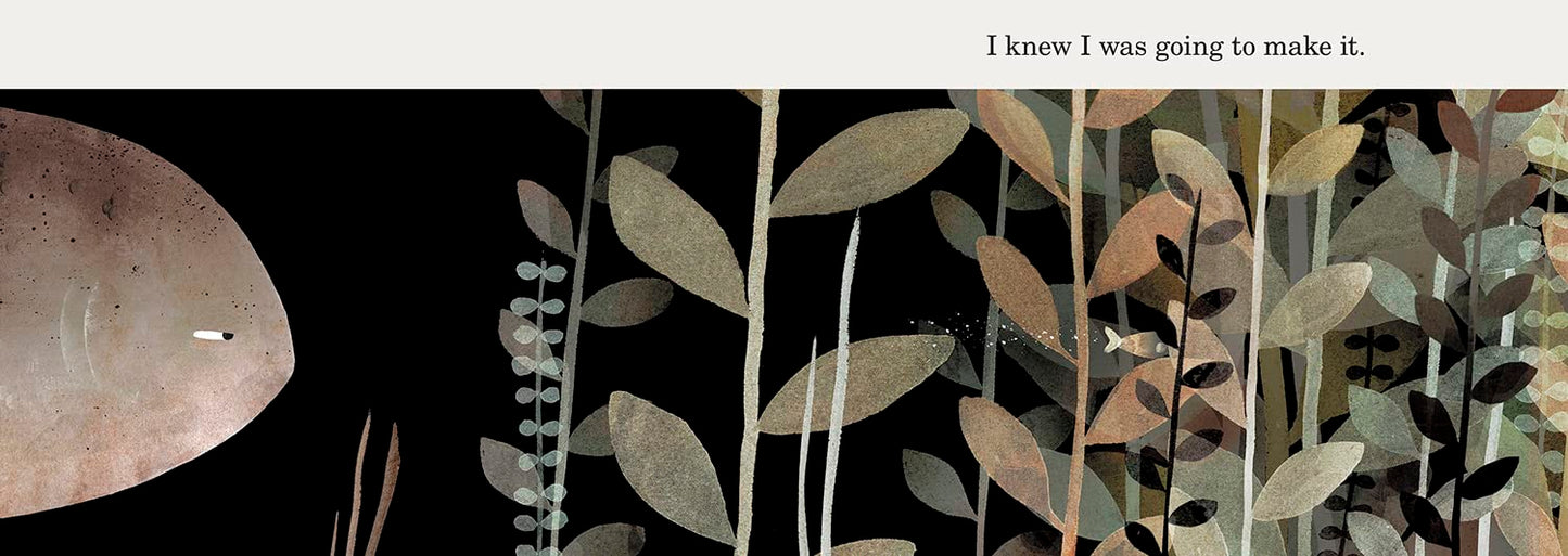 This Is Not My Hat by Jon Klassen - The Hat Trilogy